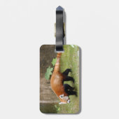 Tijgervrienden-009 Bagagelabel (Achterkant verticaal)