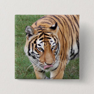 Tijgervrienden-011 Vierkante Button 5,1 Cm