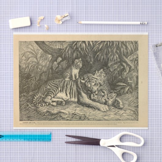 Tijgerwelp Ephemera Decoupage Tissuepapier (Craft)