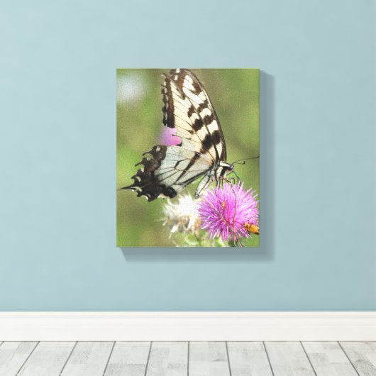 Tijgerzwaluwstaart op distel canvas afdruk (Insitu (Houten vloer))