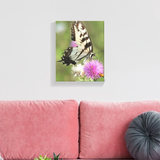 Tijgerzwaluwstaart op distel canvas afdruk (Insitu (Woonkamer))