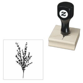 Tijm Kruid Botanische Tuin Bloemen Waterverf Rubberstempel
