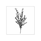 Tijm Kruid Botanische Tuin Bloemen Waterverf Rubberstempel (Afrduk)