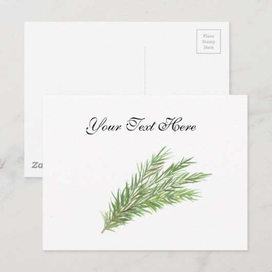 Tijm kruiden botanisch groen waterverf Keuken Briefkaart (Voorkant / Achterkant)