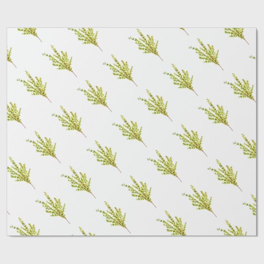 Tijm kruiden Botanische kruid waterverf keuken Cadeaupapier (Vlak)