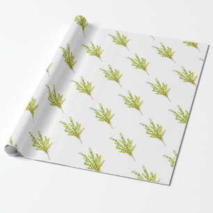 Tijm kruiden Botanische kruid waterverf keuken Cadeaupapier