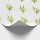 Tijm kruiden Botanische kruid waterverf keuken Cadeaupapier (Hoek)