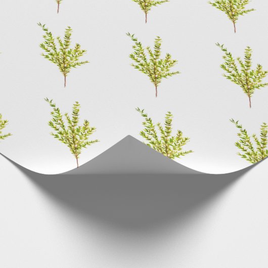 Tijm kruiden Botanische kruid waterverf keuken Cadeaupapier (Hoek)