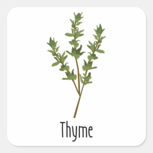 Tijm specerijen kruid vierkante sticker