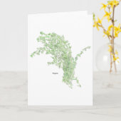 Tijm Tekening Kaart (Gele Bloem)