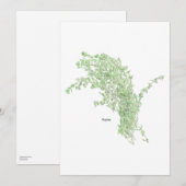 Tijm tekening kaart (Voorkant / Achterkant)