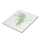 Tijm tekening tegeltje (Zijkant)