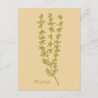 Tijmkruid Bedankt Voor Uw Zakelijke Herb