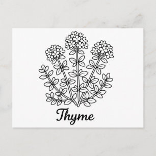 Tijmkruid zwart-wit botanische illustratie briefkaart