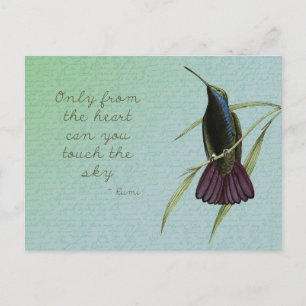 Tik op de hemel Hummingbird Briefkaart
