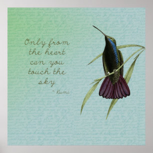 Tik op de hemel Hummingbird Poster