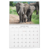 Tik op het Wilde Afrika Agenda 2022 Kalender (Jan 2026)