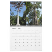 Tikal Guatemala Kalender Tikal Ruïnes Muurkalender (Jan 2027)