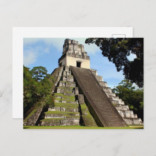 Tikal Guatemala Maya Temple Briefkaart (Voorkant / Achterkant)