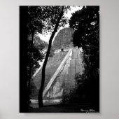 Tikal Poster (Voorkant)