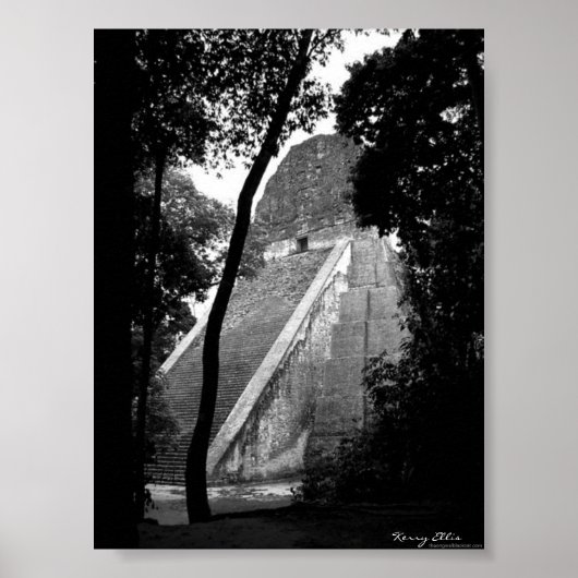 Tikal Poster (Voorkant)