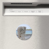 Tiki Guardians in Kona, Hawaï - Magneet (Insitu (Vaatwasser))