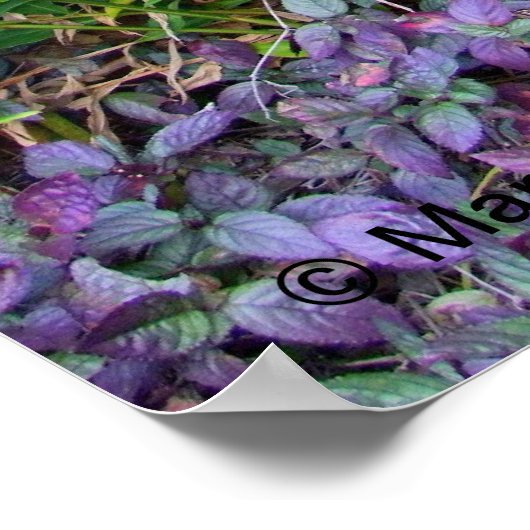 Tiki in de tuin poster (Hoek)