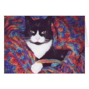 "Tiki in Doug's Afghan"