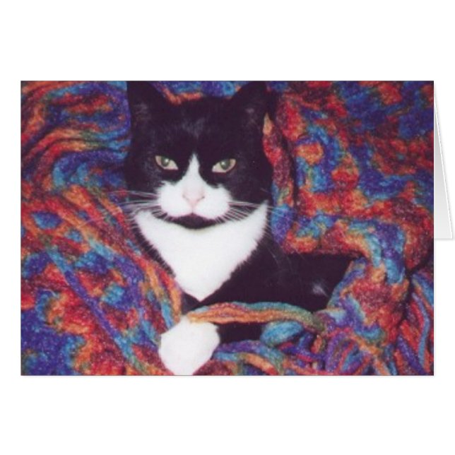 "Tiki in Doug's Afghan" (Voorkant Horizontaal)