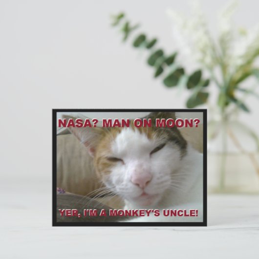 Tiki Monkey Briefkaart - FLat Earth Meme (Staand voorkant)