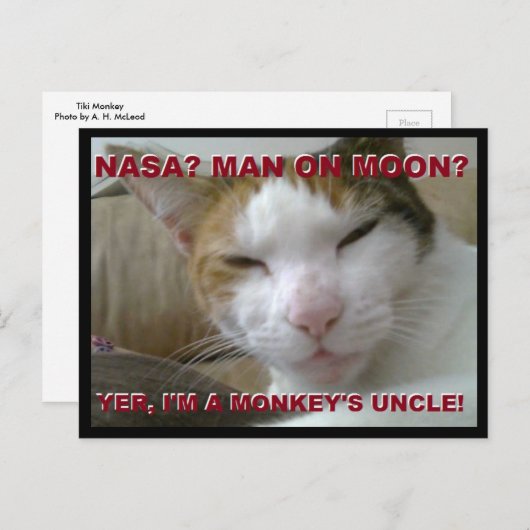 Tiki Monkey Briefkaart - FLat Earth Meme (Voorkant / Achterkant)