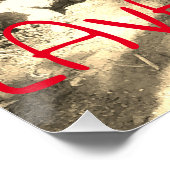 TIKIS EN LAVA ROCKS BIG ISLAND, HAWAII PERFECT POSTER (Hoek)