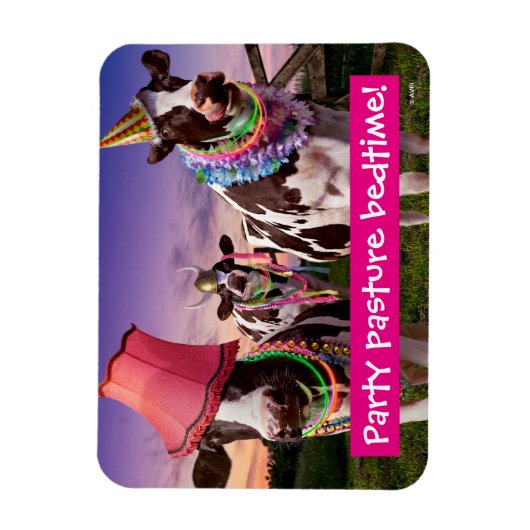 Til de Koeien naar huis Magneet (Verticaal)