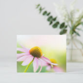 Til Sunbeams vind je Briefkaart (Staand voorkant)