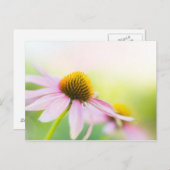 Til Sunbeams vind je Briefkaart (Voorkant / Achterkant)