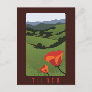 Tilden Regional Park Briefkaart