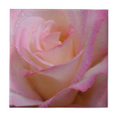 Tile Beauful Pink Rose Tegeltje (Voorkant)