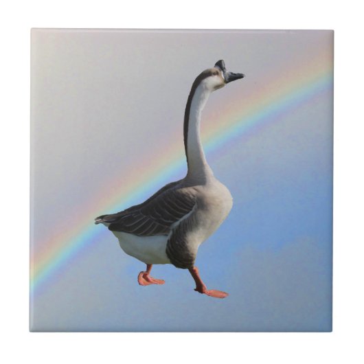 Tile - Goose en regenboog Tegeltje (Voorkant)