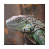 Tile met kleurrijke Iguana hagedis Tegeltje (Voorkant)