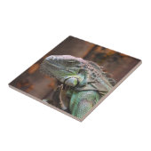 Tile met kleurrijke Iguana hagedis Tegeltje (Zijkant)