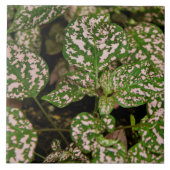 Tile - Pink Polka Dot Plant Tegeltje (Voorkant)