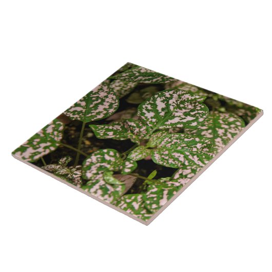 Tile - Pink Polka Dot Plant Tegeltje (Zijkant)