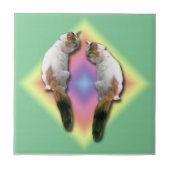 Tile - Regenboogdiamant met katten Tegeltje (Voorkant)