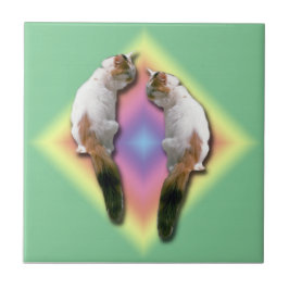 Tile - Regenboogdiamant met katten Tegeltje