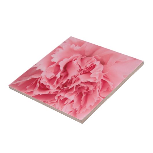 Tile roze anjer dicht tegeltje (Zijkant)