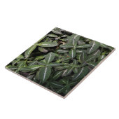 Tile Trailing Velvet Plant Tegeltje (Zijkant)