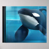 Tilikum portret poster (Voorkant)