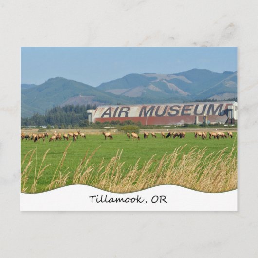 Tillamook, OR Postcard Briefkaart (Voorkant)