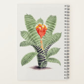 Tillandsia Musaica Notitieboek (Achterkant)