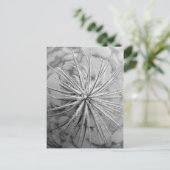 Tillandsia tectorum briefkaart (Staand voorkant)